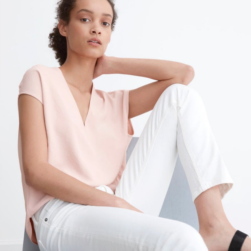 Everlane Japanese GoWeave V-neck Blouse 12